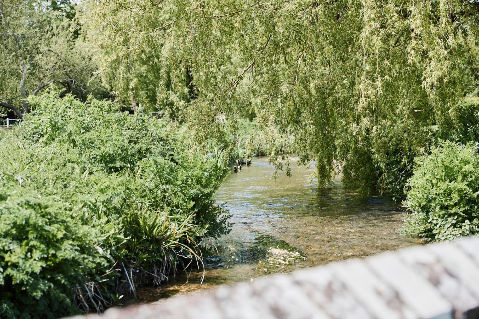The Bucks Head Bed & Breakfast Carhampton Eksteriør bilde